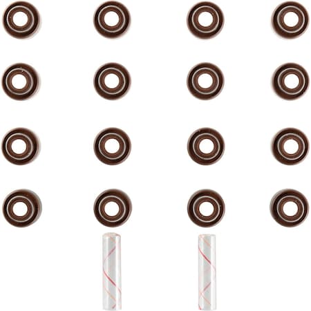 Reinz Engine Valve Stem Oil Seal Set, 12-10077-01 12-10077-01